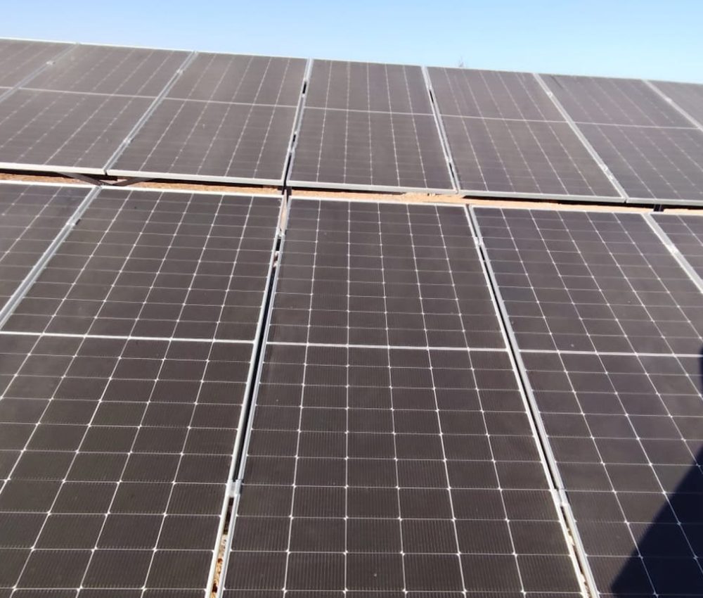 WhatsApp-Image-2025-04-01-at-7.14.16-PM-1-1 1